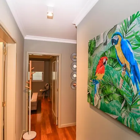 Boieiro Plaza Апартаменты *